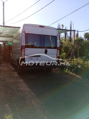 فيات دوكاتو مستعملة 2039587