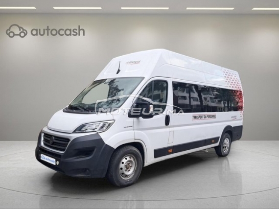 شراء السيارات المستعملة FIAT Ducato في المغرب - 485918