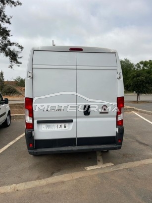 FIAT Ducato occasion 1698492