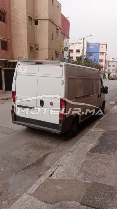 فيات دوكاتو مستعملة 1575362