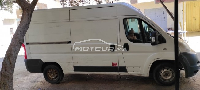 فيات دوكاتو مستعملة 1592932