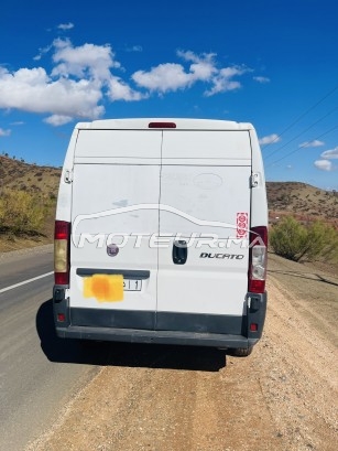 فيات دوكاتو مستعملة 1757813