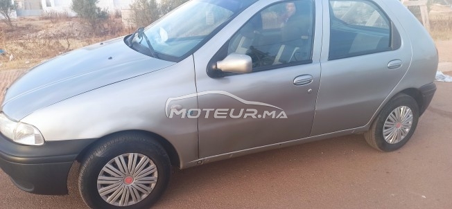 فيات باليو مستعملة 1463397