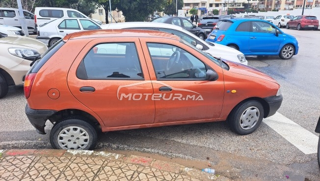 FIAT Palio occasion 1582231