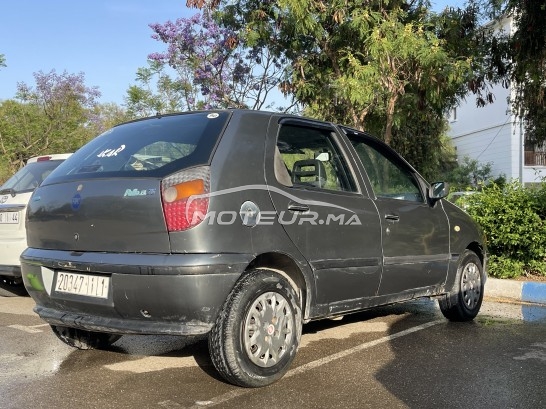 FIAT Palio occasion 2439068
