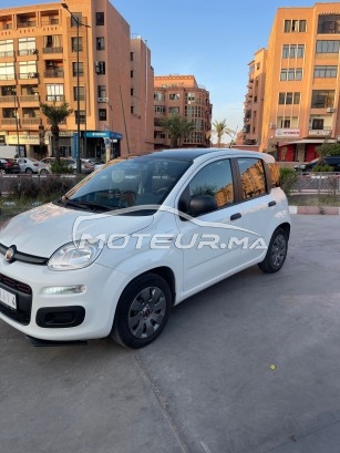 فيات باندا مستعملة 1841201