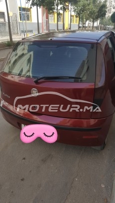 FIAT Punto 2009 occasion 1683455