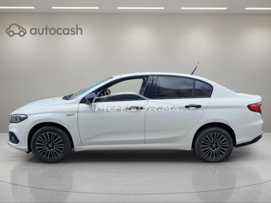 فيات تيبو مستعملة 3432155