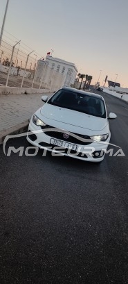 فيات تيبو مستعملة 1668333