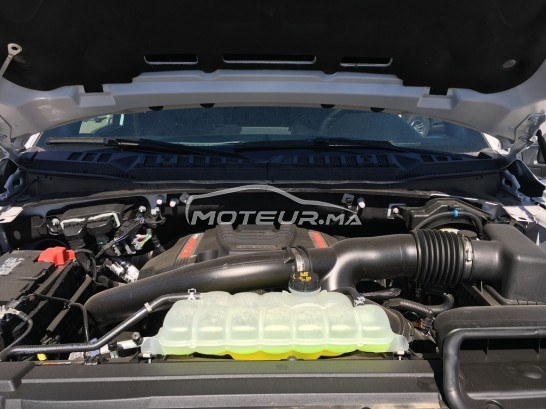 FORD F-150 Raptor occasion 1138509