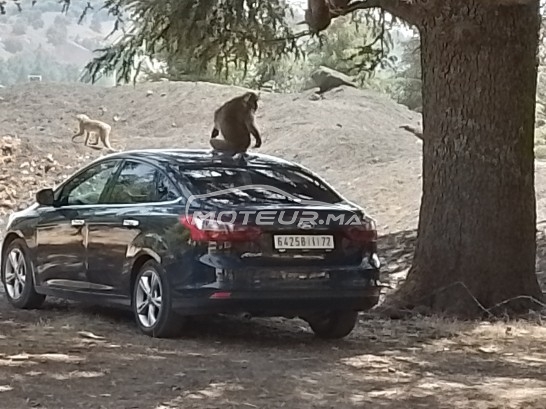 فورد فوكوس Trend plus sport fin 2012 مستعملة 1701299