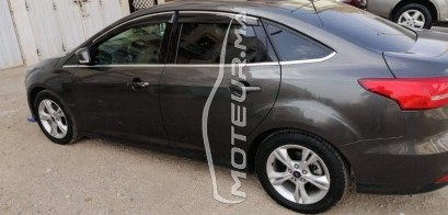 FORD Focus 5p 1.6 tdci 115 ch occasion 810023