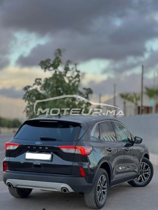 فورد فوكوس مستعملة 2903258