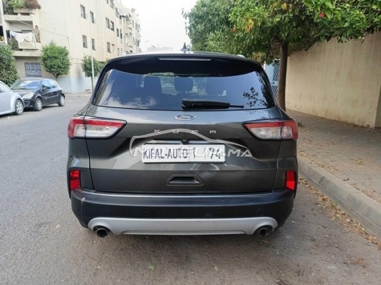 فورد كوجا مستعملة 3507688