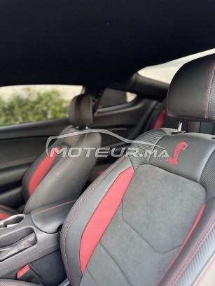 فورد موستانج 2.3 performance 340ch kit 350r shelby مستعملة 2965091