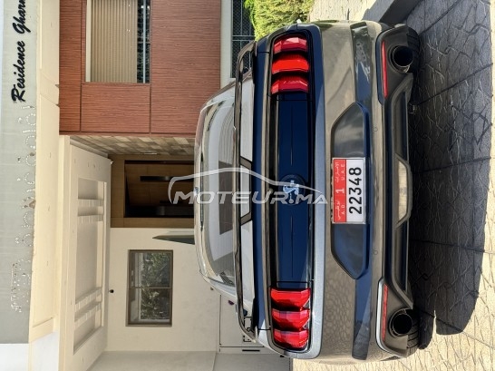 فورد موستانج Shelby مستعملة 1890441