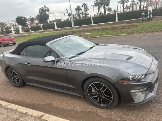 فورد موستانج 2.3l مستعملة 2266325