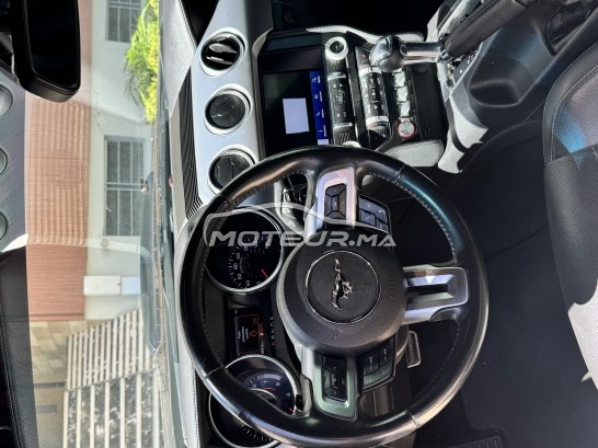 فورد موستانج Shelby مستعملة 1890444