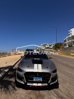 FORD Mustang Ecoboost - shelby kit occasion 2452342