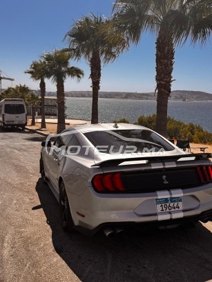 FORD Mustang Ecoboost - shelby kit occasion 2452340