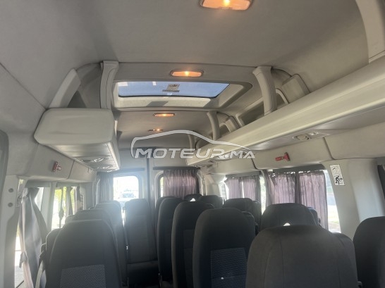 FORD Transit occasion 1941919