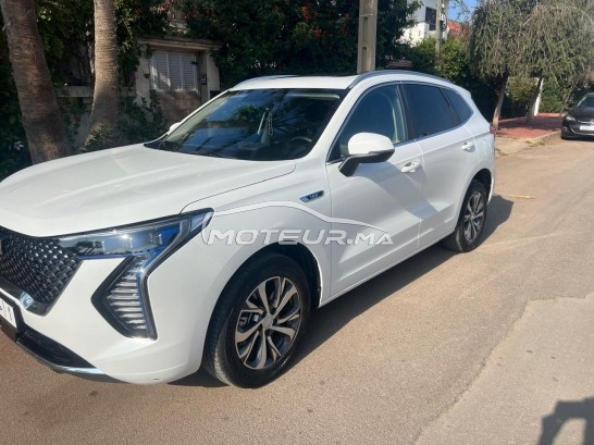 GWM Haval jolion Hev occasion 2840019