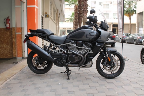 هارليي-دافيدسون اوتري Panamerica special مستعملة 2432393