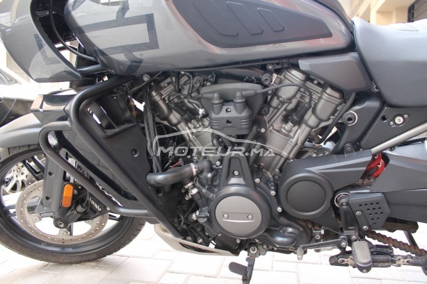 هارليي-دافيدسون اوتري Panamerica special مستعملة 2432392