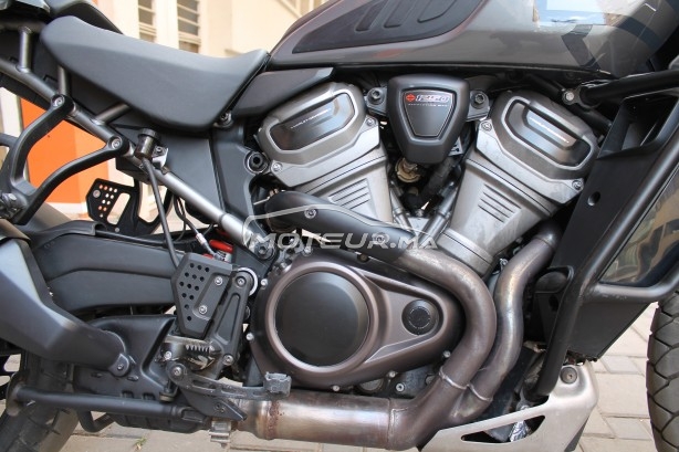 هارليي-دافيدسون اوتري Panamerica special مستعملة 2432389