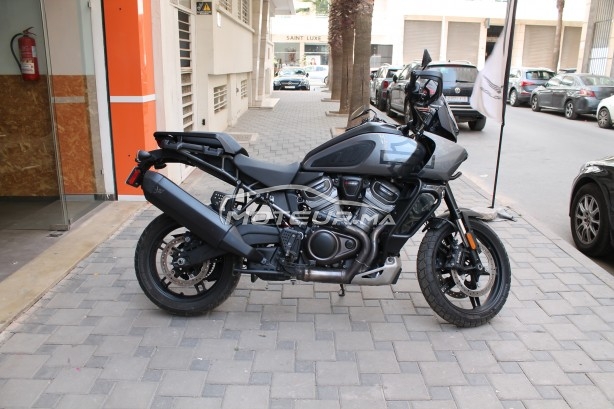 هارليي-دافيدسون اوتري Panamerica special مستعملة 2432388