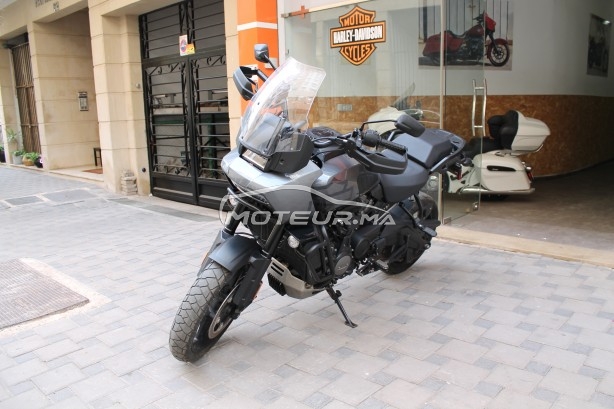 هارليي-دافيدسون اوتري Panamerica special مستعملة 2432391