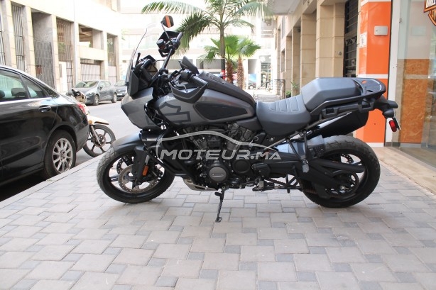 هارليي-دافيدسون اوتري Panamerica special مستعملة 2432390