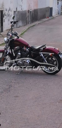 HARLEY-DAVIDSON Sportster 1200 Harley davidson sportster 72 occasion  1384436