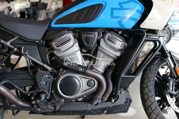 هارليي-دافيدسون اوتري Panamerica special مستعملة 2432382