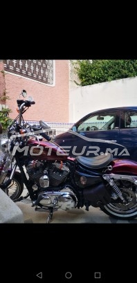 HARLEY-DAVIDSON Sportster 1200 Harley davidson sportster 72 occasion  1384217