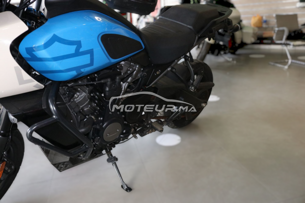 هارليي-دافيدسون اوتري Panamerica special مستعملة 2432383