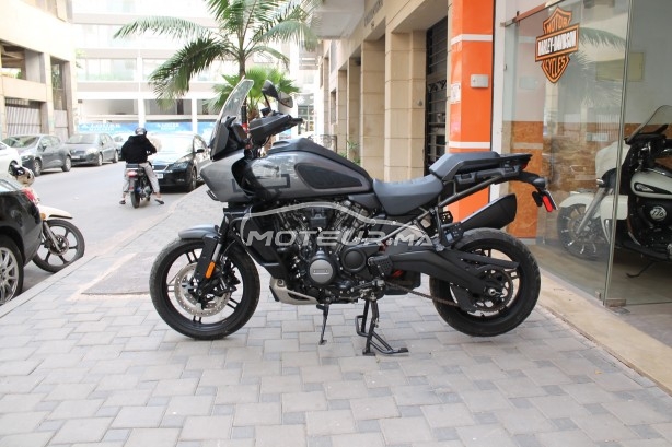 هارليي-دافيدسون اوتري Panamerica special مستعملة 2432394