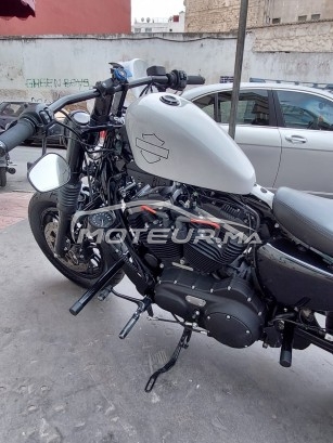 هارليي-دافيدسون اوتري Forty eight | 48 مستعملة 1688902