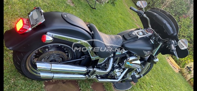 HARLEY-DAVIDSON Fat boy occasion  1226943