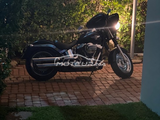 HARLEY-DAVIDSON Fat boy occasion  1226938