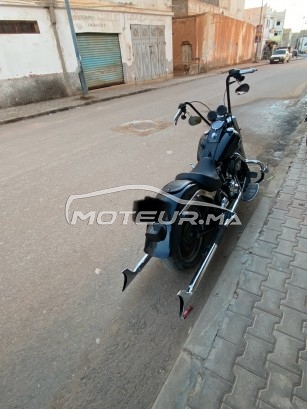 هارليي-دافيدسون فات بوي Softaile مستعملة 2995275