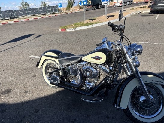 هارليي-دافيدسون فلستس هيريتاجي إسوفتا Classic مستعملة 2279773