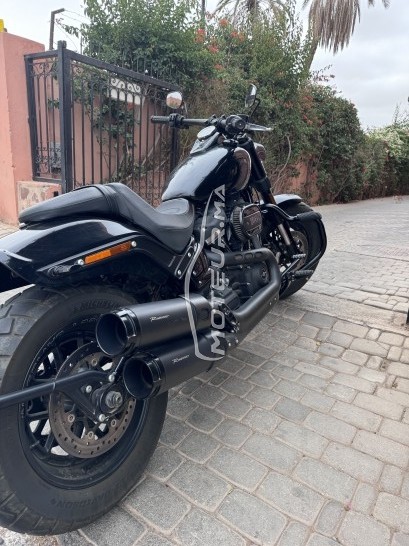 هارليي-دافيدسون فلستفي إسوفتايل فات ب Fat bob 114 مستعملة 1869253