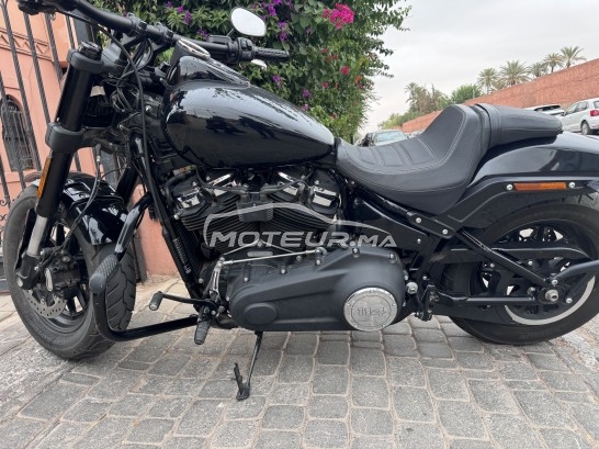 هارليي-دافيدسون فلستفي إسوفتايل فات ب Fat bob 114 مستعملة 1869258