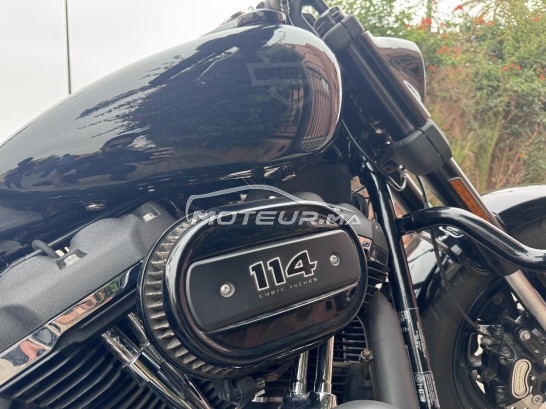 هارليي-دافيدسون فلستفي إسوفتايل فات ب Fat bob 114 مستعملة 1869254