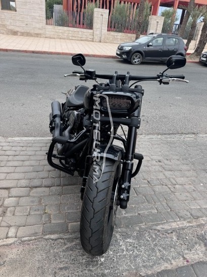 هارليي-دافيدسون فلستفي إسوفتايل فات ب Fat bob 114 مستعملة 1869255