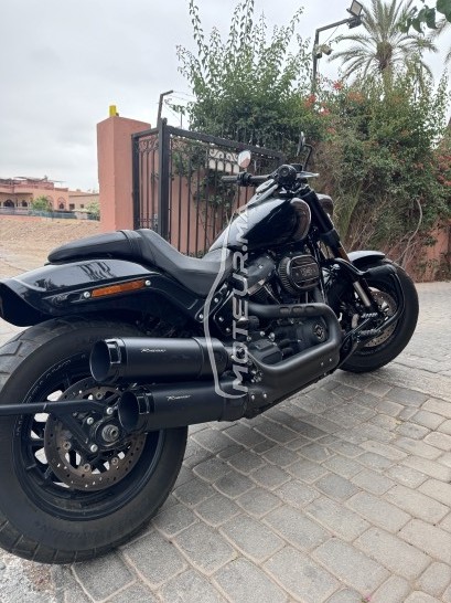 هارليي-دافيدسون فلستفي إسوفتايل فات ب Fat bob 114 مستعملة 1869256