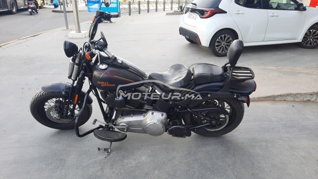 هارليي-دافيدسون فلستسب إسوفتايل كروس مستعملة 2408807