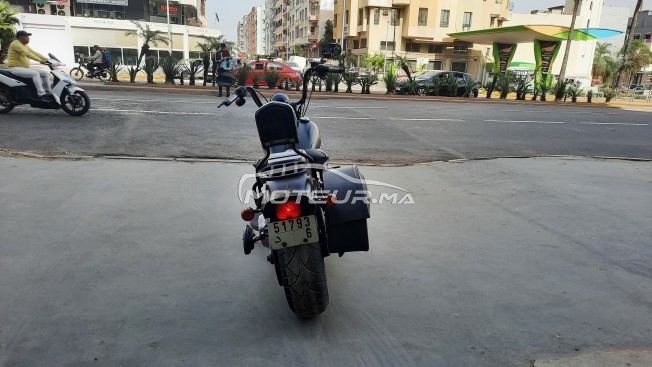 هارليي-دافيدسون فلستسب إسوفتايل كروس مستعملة 2408803