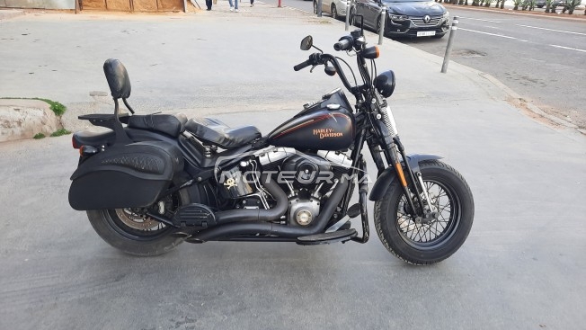 هارليي-دافيدسون فلستسب إسوفتايل كروس مستعملة 2408806